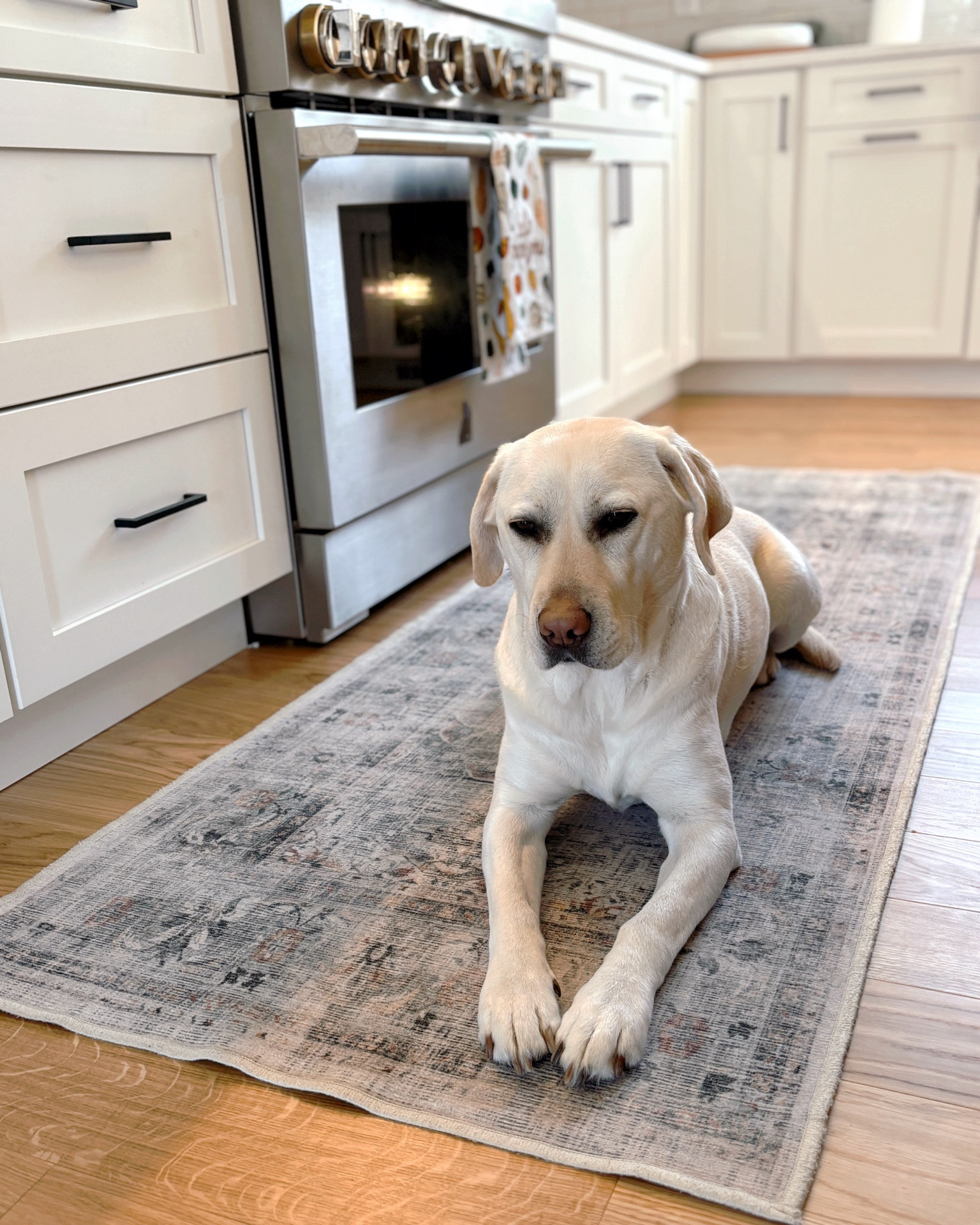 Ruggable Kitchen Runner 🤍

#LTKhome #LTKMostLoved #LTKfamily