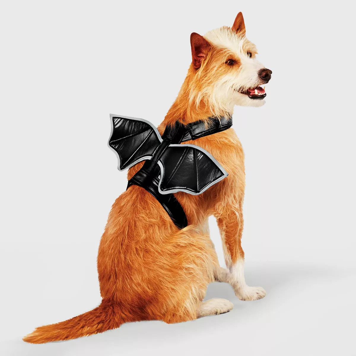 Reflective Bat Wings Rider Dog and Cat Costume - Hyde & EEK! Boutique™ | Target