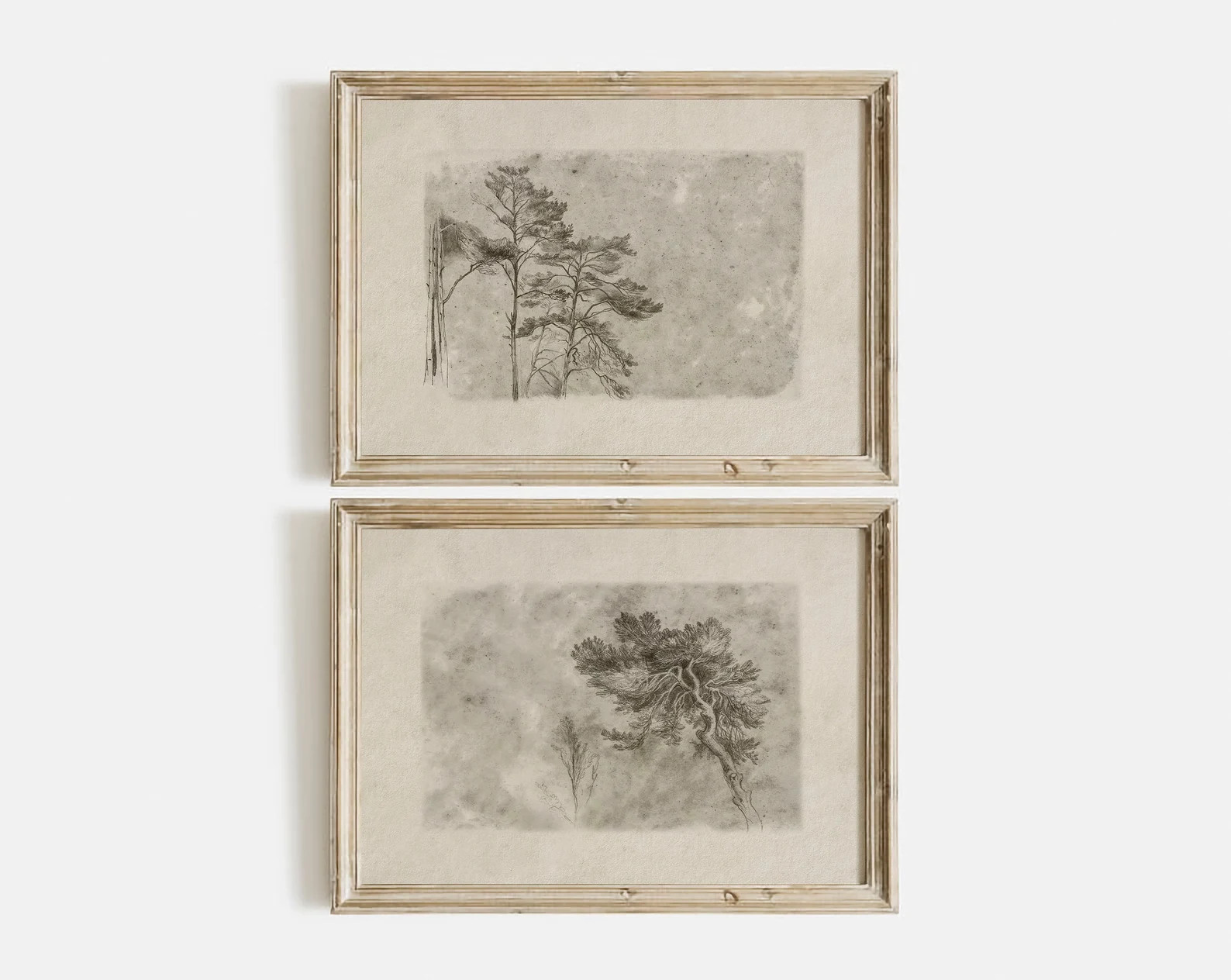 Vintage Tree Drawing PRINTABLE / Neutral Rustic Sketch Print / Farmhouse Wall Art SET | D56 | Etsy (US)