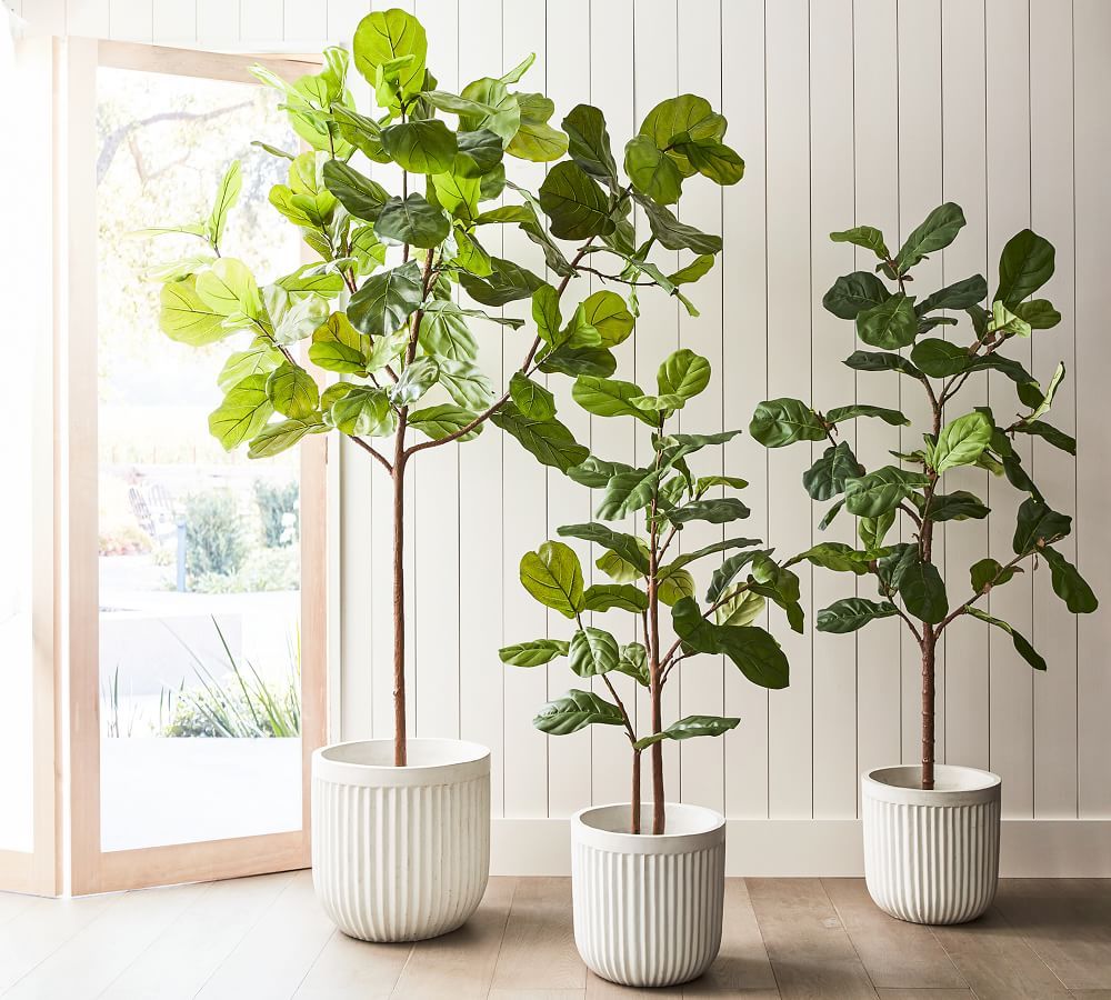 Faux Potted Fiddle Leaf Fig Trees | Pottery Barn (US)