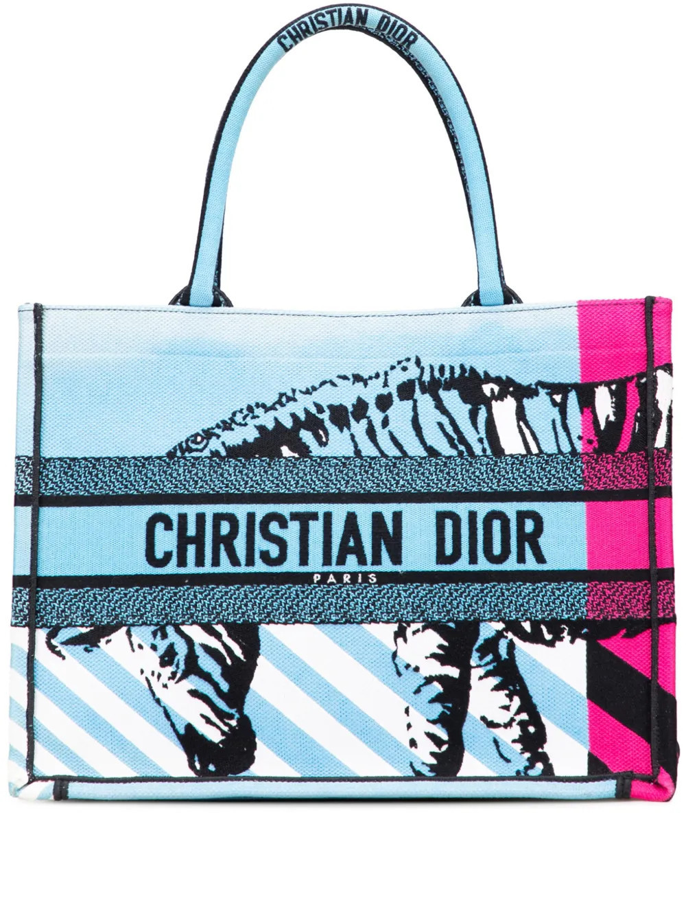 Christian Dior Pre-Owned 2022 Medium Embroidered Canvas Zebra D Jungle Pop Book tote bag - Blue | Farfetch Global
