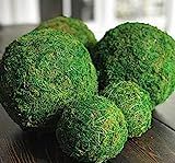 6 Inch Decorative Moss Ball Orb Sphere for Home Decor, Vase Bowl Filler, Planters, Trays, Lanterns,  | Amazon (US)