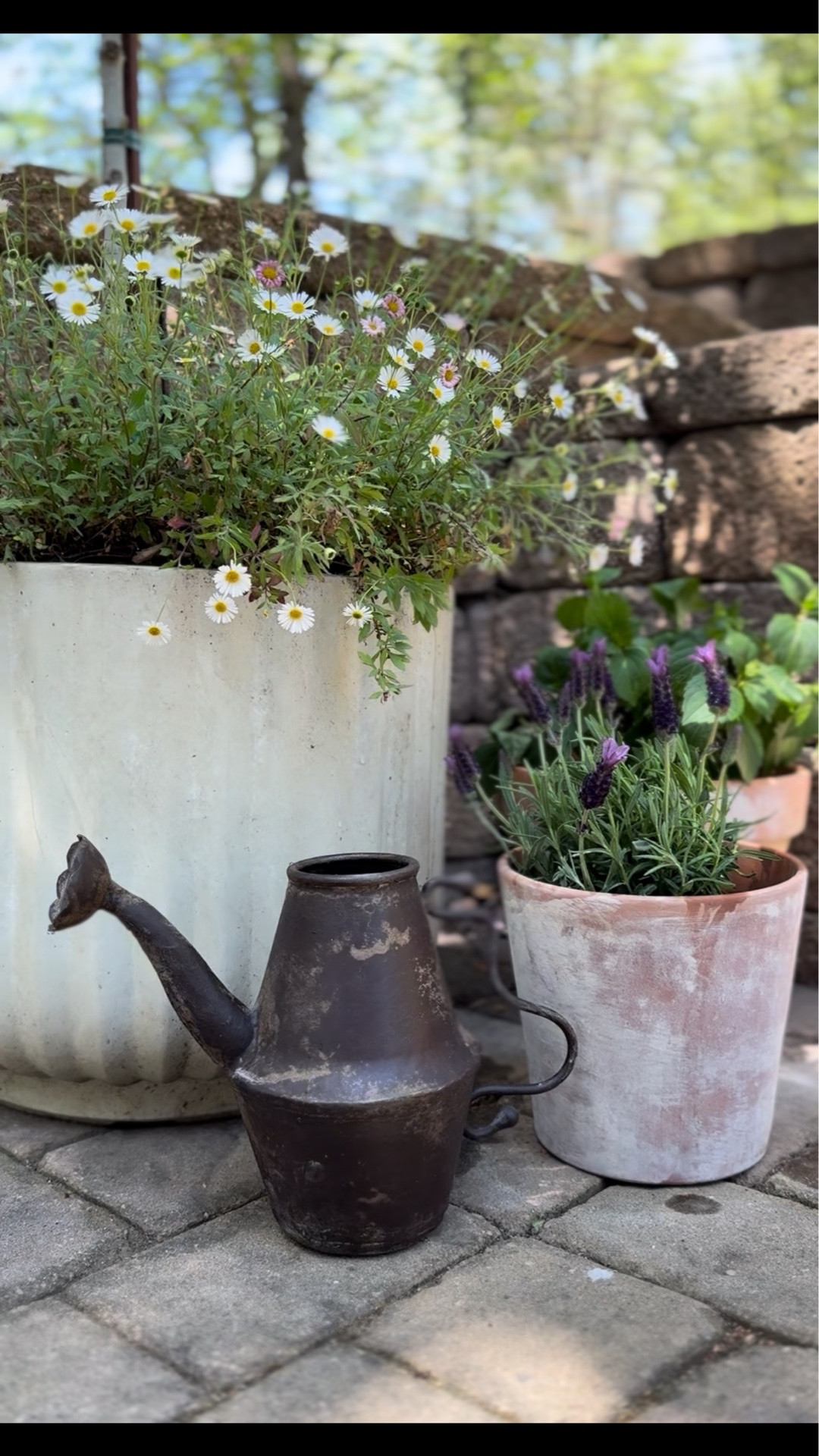 Aged terracotta pots! 

#LTKSeasonal #LTKHome