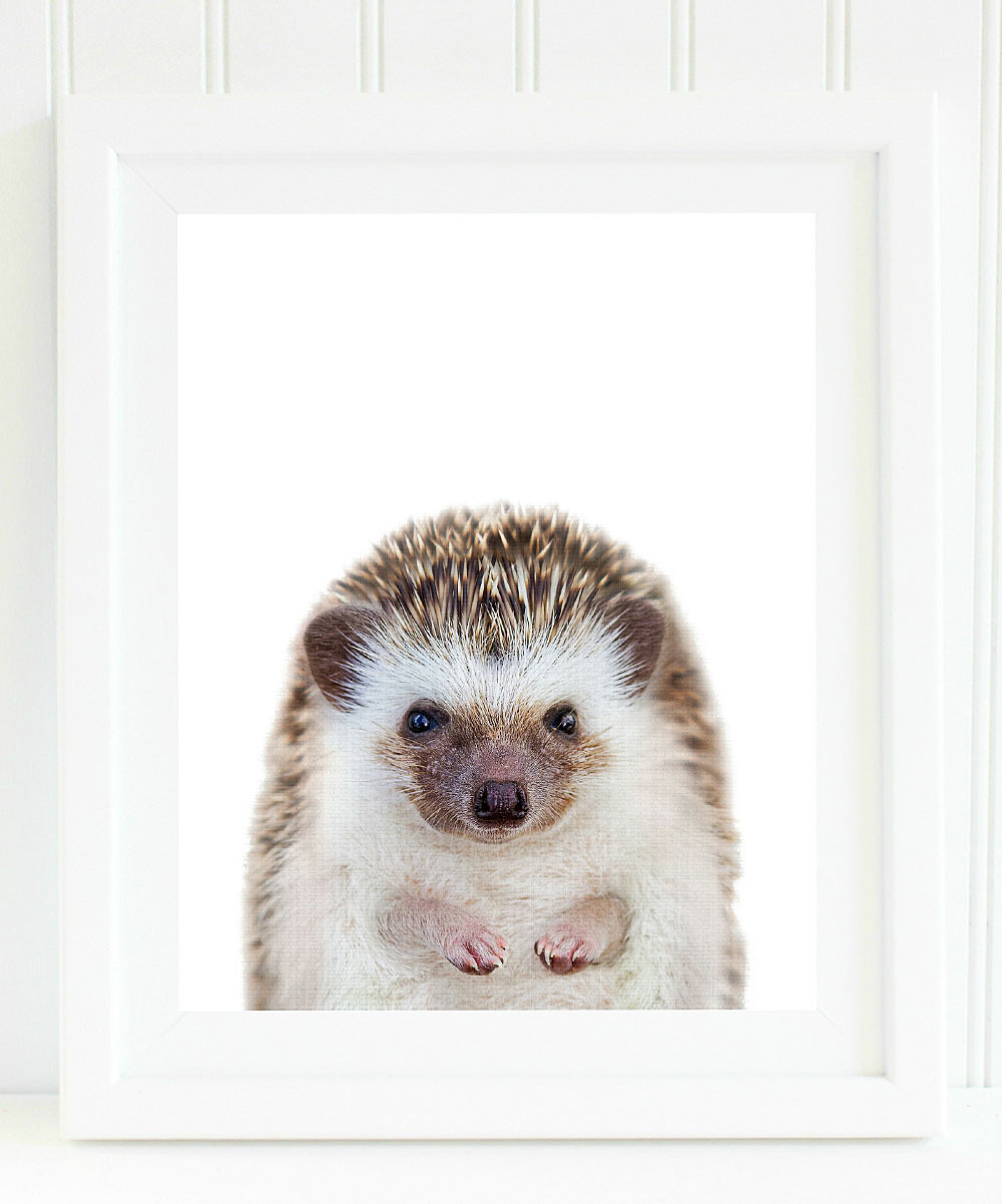 Love you a Latte Shop - Baby Hedgehog Print | Zulily