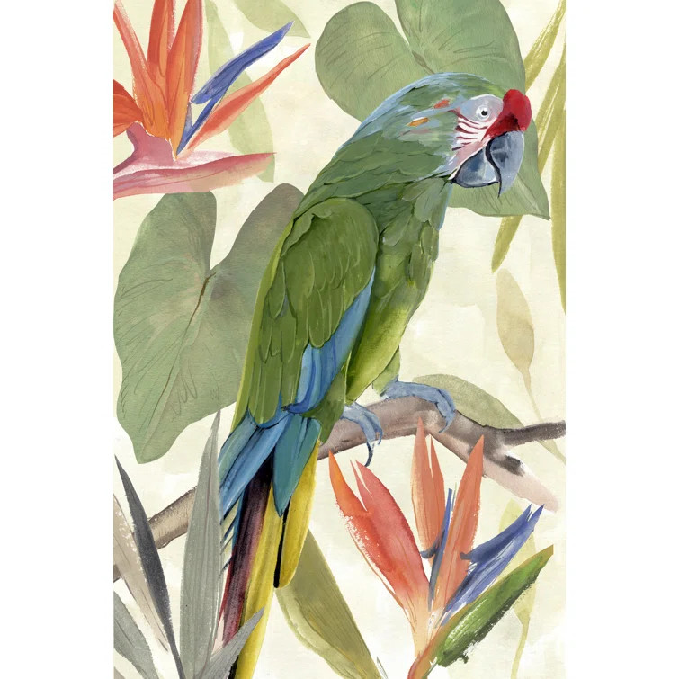 Tropical Parrot Composition I by Annie Warren - Wrapped Canvas Painting | Wayfair North America