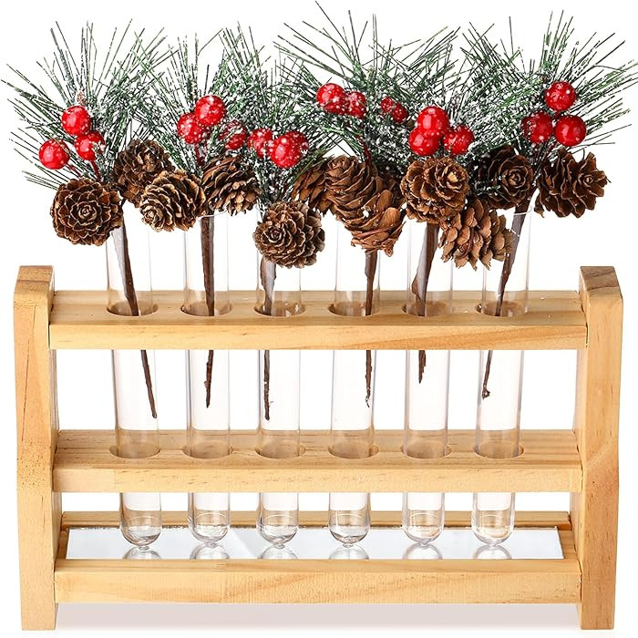 13 Pcs Christmas Tree Table Decorations 6 Clear Plastic Test Tubes with Rack 6 Artificial Pine Pi... | Amazon (US)
