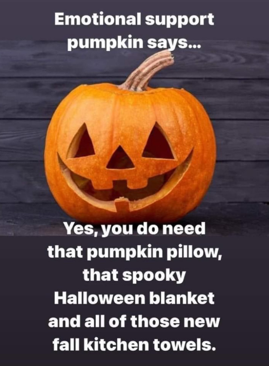 Yes you do! Temu finds first. .
.
.
.
.
.
.
.

.
.
.
.
.
.
.
. .
.
.
.
.
.
.
. .
.
.
.
.
.
.
. .
.
.
.
.
.
.
. .
.
.
.
.
.
.
.

.
.
.
.
.
.
.
.
#ltk #ltkunder50 #ltkstyletip #ltkunder100 #ltksalealert #ltkhome #ltkshoecrush #ltkfashion #ltkfamily #ltkbeauty #ltkspring #ltkholidaystyle #ltkitbag #ltkseasonal #ltkcurves #ltkkids #ltktravel #ltkbaby #ltkeurope #ltkfit #ltkbump #ltkswim #ltkunder25 #ltkworkwear #ltkholiday #ltkholidaywishlist #ltkblogger #ltkfind #julieannrachelle
#falldecor #falldecorating #autumndecor #pumpkindecor #pumpkins #fallhomedecor #halloweendecor #falltablescape #seasonaldecor #autumndecorations #julieannrachelle
#halloweendecor #halloweendecorations #halloween #halloweendecorating #spookydecor #trickortreat #halloweenparty #halloweenhome #halloweenideas #pumpkin #jackolantern #julieannrachelle
#livingroom #livingroomdecor #furniture #sofa #homedesign #homedecor #interiors #interiordecor #decor #decoration #home #livingroomstyle #homeinspiration #livingroomfurniture #couch #coffeetable #livingroomdesign #livingroominspo #livingroomideas #livingroominspiration #livingroominterior #livingrooms #livingroomdetails #livingroomstyling #livingroomdesigns #livingroomart #livingroomlighting #livingroomset #livingroomdecorideas #julieannrachelle
#temu #temufind #cheap #cheapprice #cheapfinds #cheapdeals #cheapprices #cheapandchic #neverpayfullprice #dealfinder #frugal #deals #coupon #bargain #julieannrachelle
#potterybarn #potterybarnkids #potterybarnstyle #potterybarnteen #potterybarnbedding #potterybarninspired #potterybarndecor #potterybarnhome #westelm #crateandbarrel #restorationhardware #ltkhome #julieannrachelle
#falldecor #falldecorating #autumndecor #pumpkindecor #pumpkins #fallhomedecor #halloweendecor #falltablescape #seasonaldecor #autumndecorations #julieannrachelle

#LTKsalealert #LTKunder50 #LTKhome