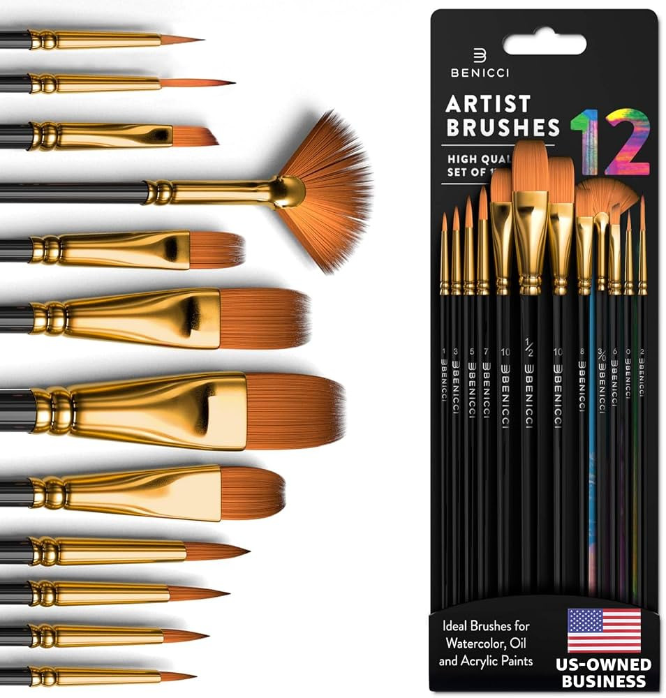 Professional Artist Paint Brush Set of 12 - Painting Brushes Kit for Kids, Adults Fabulous for Ca... | Amazon (US)