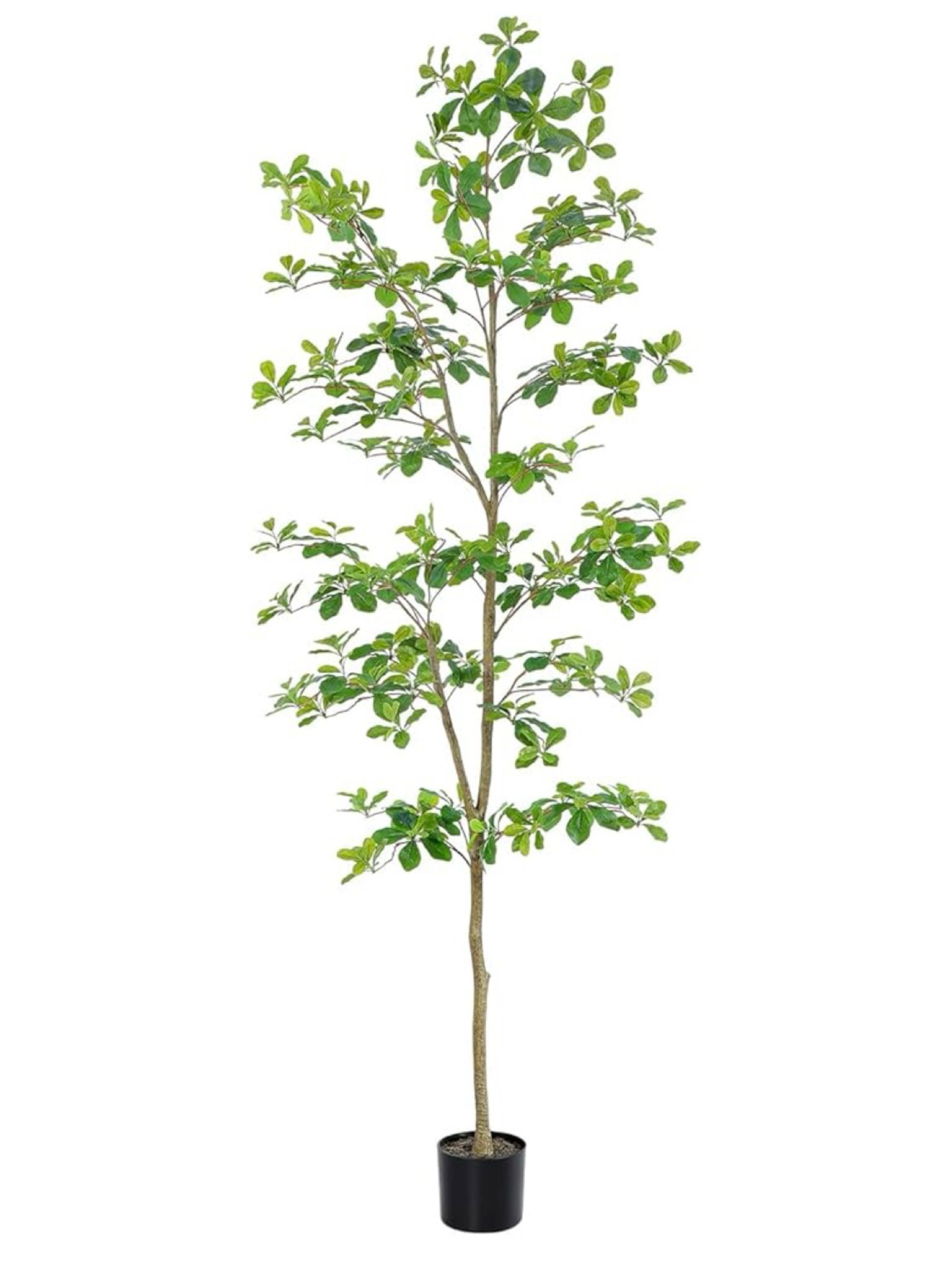Faux Black Olive Tree 7ft 

#LTKHome #LTKFindsUnder100