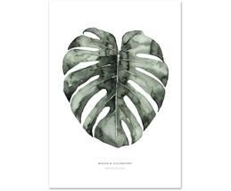Poster Urban Monstera | WestwingNow (AT & DE)