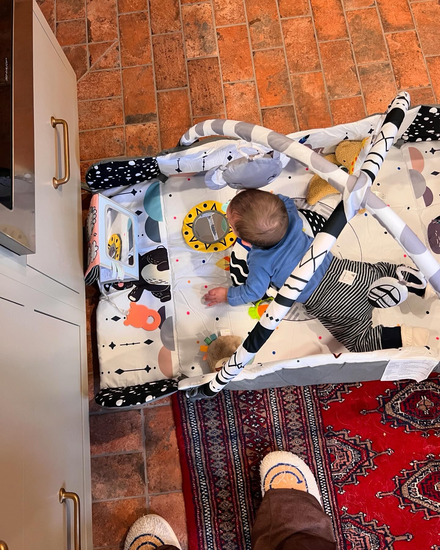 11/16 - 11/24 📸

A week with Oma & Pop so beyond grateful for the extra support. 

Lots of antiques, dog on dog activities, some martinis and a good beach trip 

Oh and Capt.  became a Major 🇺🇸

Getting ready for our first thanksgiving with squash and trying to figure out where the tress are going this year 🩷

#firstholidays #thanksgiving #babyboy #newmom #newengland #preandpostnatalfitness #copperpearl