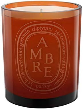 Diptyque Ambre Scented Candle, 10.2 Ounce (187856) | Amazon (US)