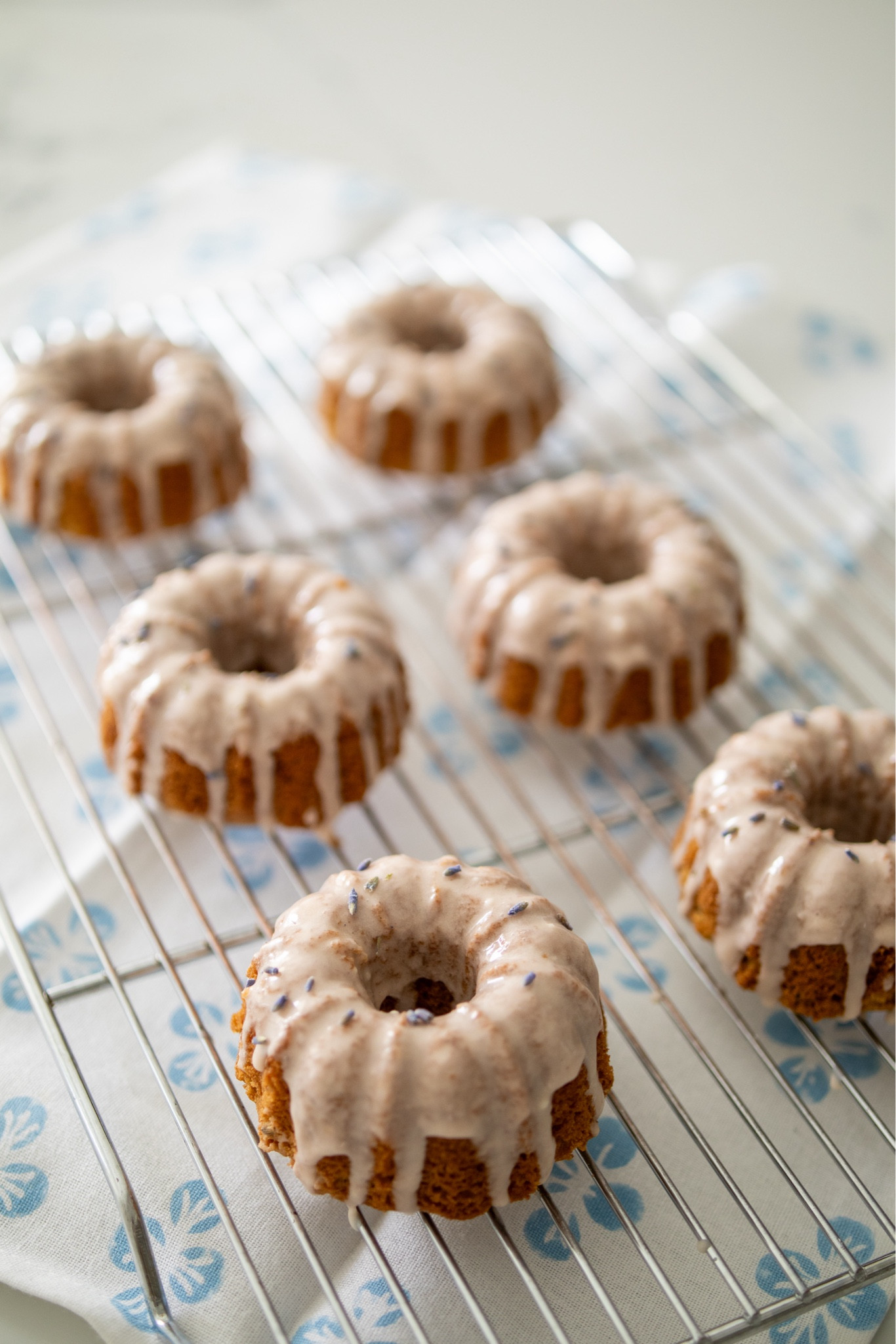 Spring baking! I love making these pretty lavender lemon Bundt cakes. 


#LTKparties #LTKhome #LTKSeasonal