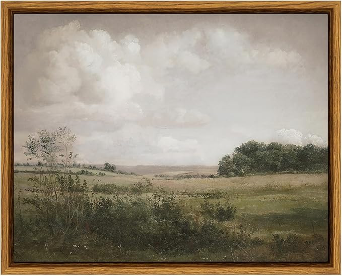 VIYYIEA Vintage Landscape Wall Art, Nature Wilderness Scenery Paintings Wall Decor Aesthetic, Fra... | Amazon (CA)