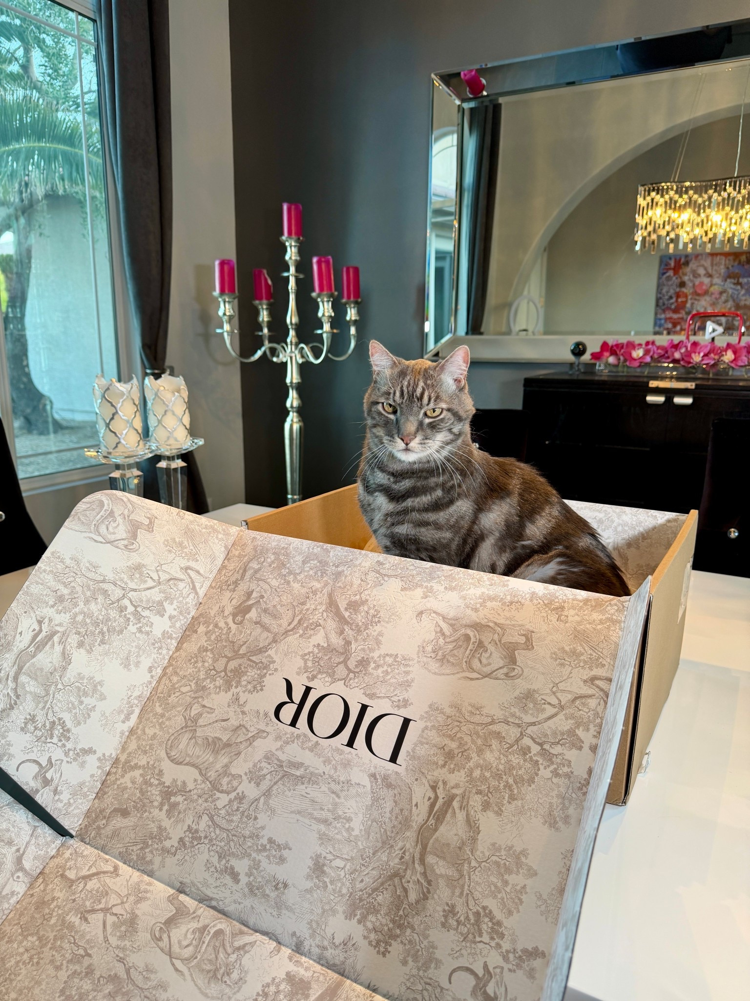 Almost done with my Christmas gift shopping 🎁 I stocked up on various Dior Beauty gift sets at different price points which was a win win as I got Platinum status in doing so and scored a few pretty free gifts with purchase. I feature all of Dior Beauty codes to get free gifts with purchase every month on glamourandgains.com. I also bought the limited edition eye palette for myself to be able to use as a credit card holder! 

#LTKPets #LTKBeauty #LTKGiftGuide