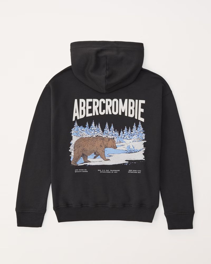 flock graphic logo popover hoodie | Abercrombie & Fitch (US)