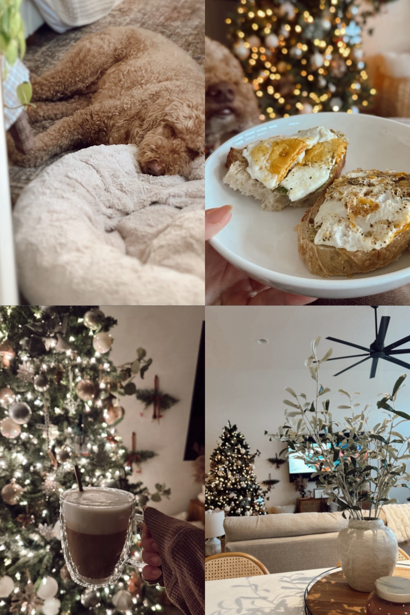 Weekend Sunday recap of my morning routine 🎄✨

#LTKfoodie #LTKmorningroutine #LTKdayinmylife