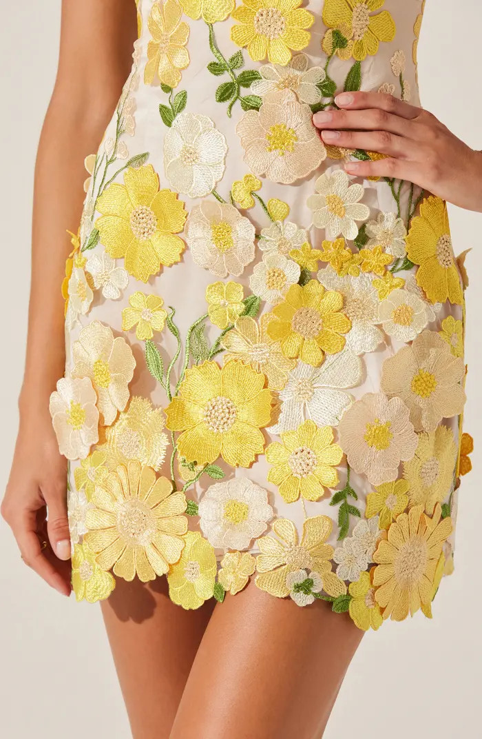 ASTR the Label Aisha Floral Appliqu\u00e9 Sleeveless Minidress | Nordstromrack | Nordstrom Rack