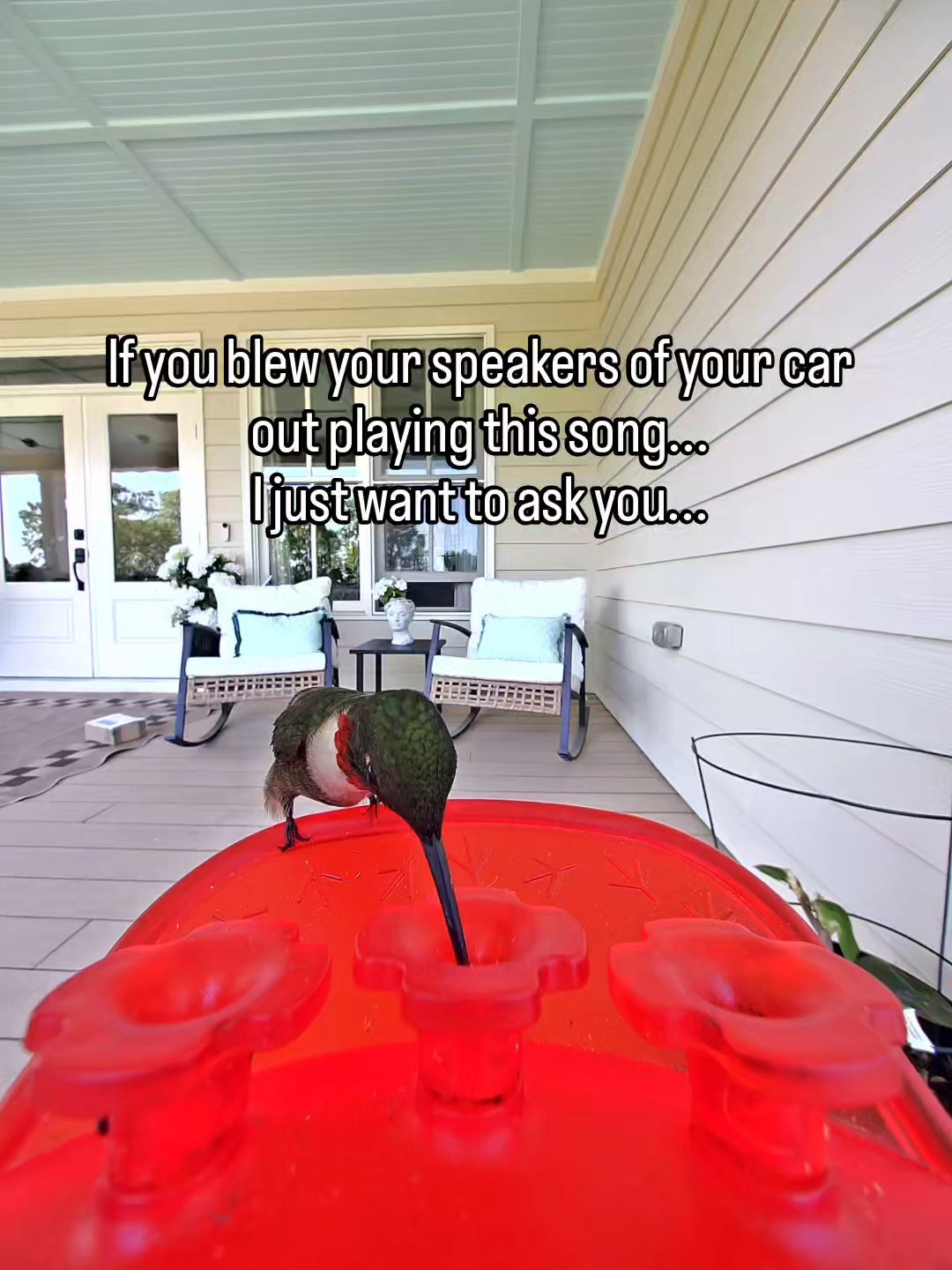 @birdbuddy for the win for all #millennials #grandmillennial #livinglargeinlilly #birdbuddy #birdfeeder #hummingbird

#LTKdayinmylife #LTKSeasonal #LTKHome