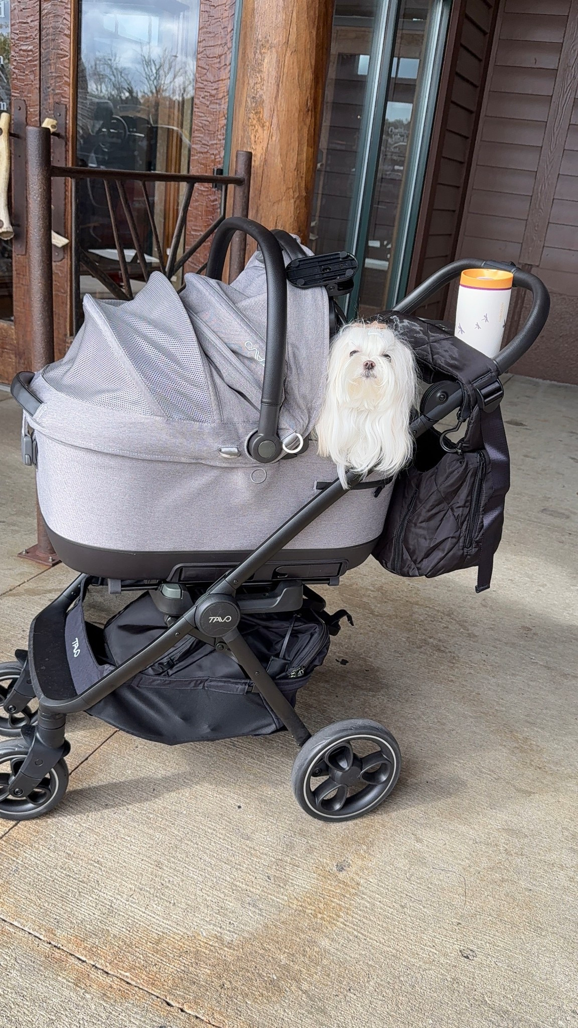 Our favorite Tavo pet stroller has a model on sale for Black Friday! 

#LTKSaleAlert #LTKCyberWeek #LTKHoliday