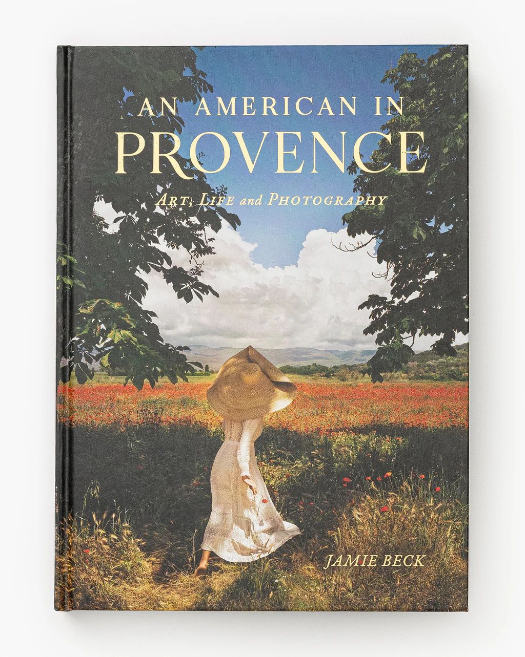 An American in Provence | McGee & Co.
