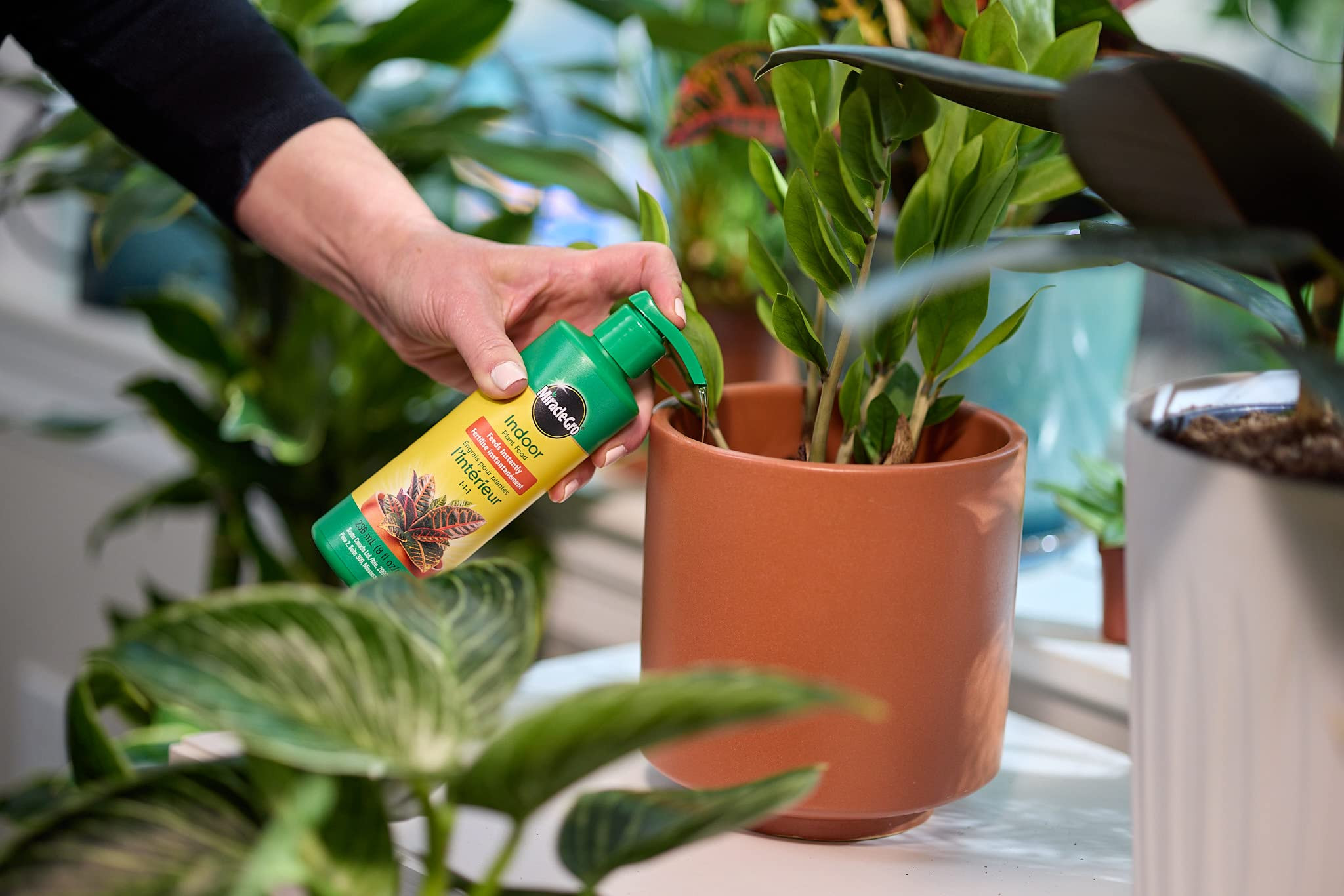 Miracle-Gro Indoor Plant Food - 236ml | Amazon (CA)
