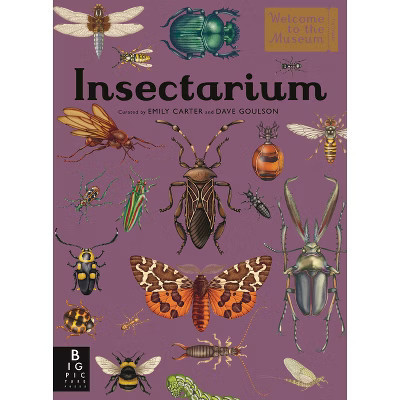 Insectarium - (Welcome to the Museum) by  Dave Goulson (Hardcover) | Target
