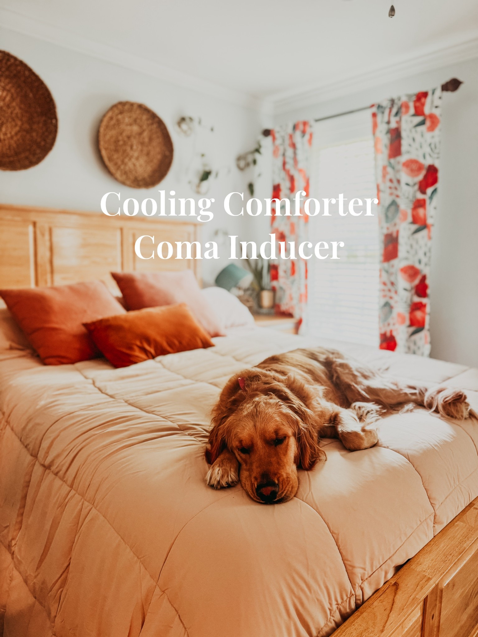 Stay cozy and cool with Coma Inducer cooking comforters. 

#LTKFamily #LTKHome