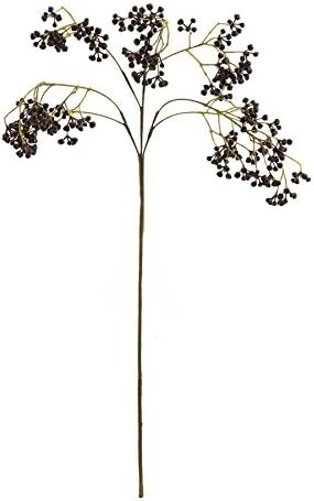Napa Home & Garden BERRRY STEM 25.5" Black | Amazon (US)