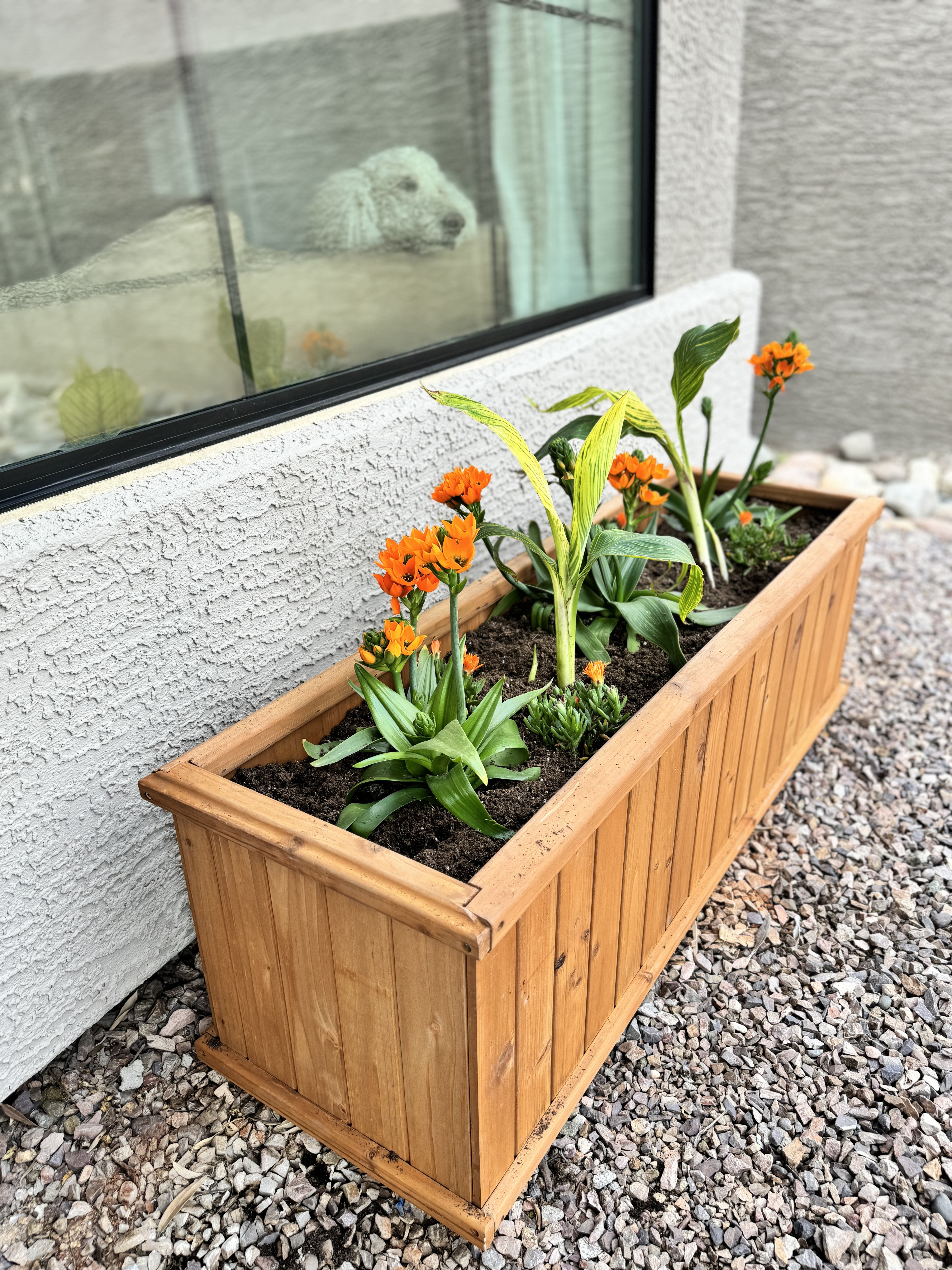 #ad #WayfairPartner #Wayfair @Wayfair Shop the Wayfair 4th of July Clearance sale now through July 6th!

You'll get up to 70% off, plus fast, FREE shipping on orders of $35 or more. Check out some of our faves, like Lina's pretty outdoor planter!

#LTKSaleAlert
