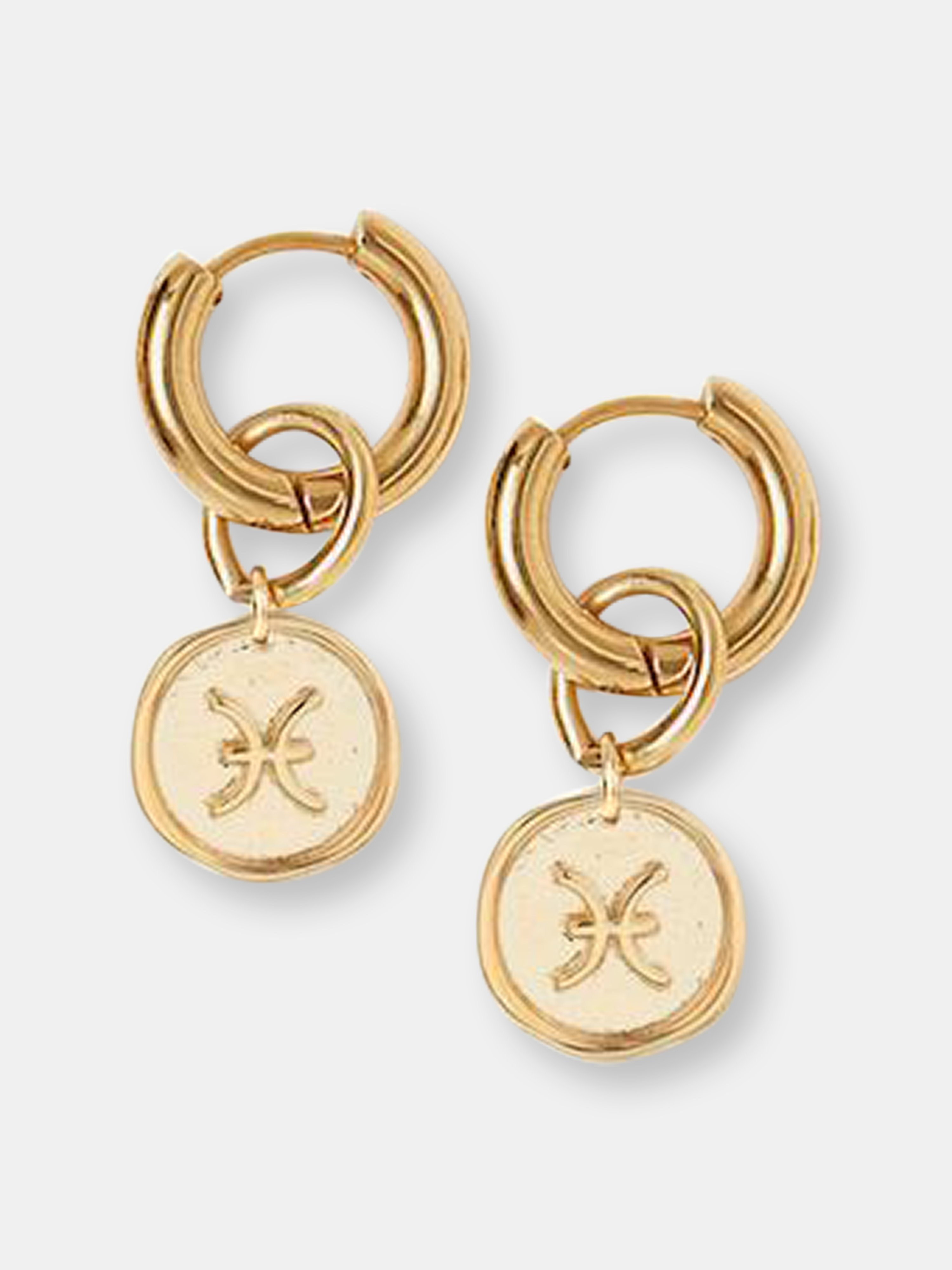 Zodiac Hoop Earrings - PISCES - Also in: GEMINI, TAURUS, LIBRA, SCORPIO, CANCER, VIRGO, ARIES, SAGIT | Verishop