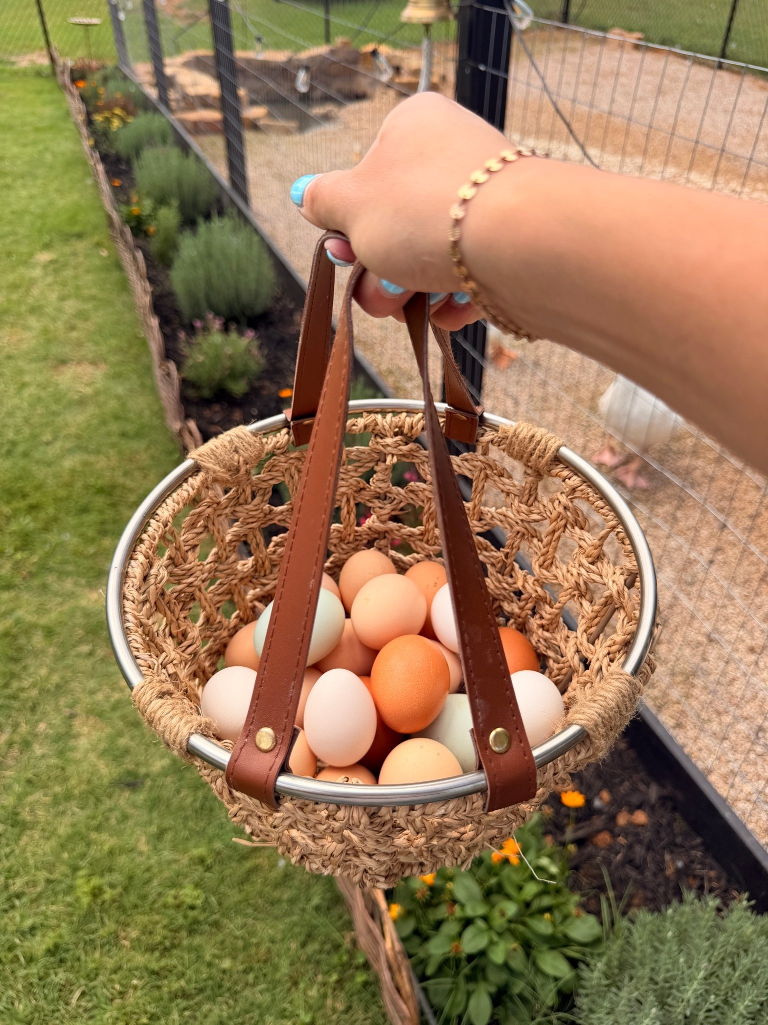 Egg basket