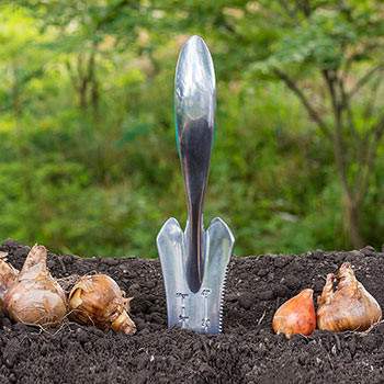 Wellbuilt Bulb Planter | Garden Supplies | Breck's | Brecks