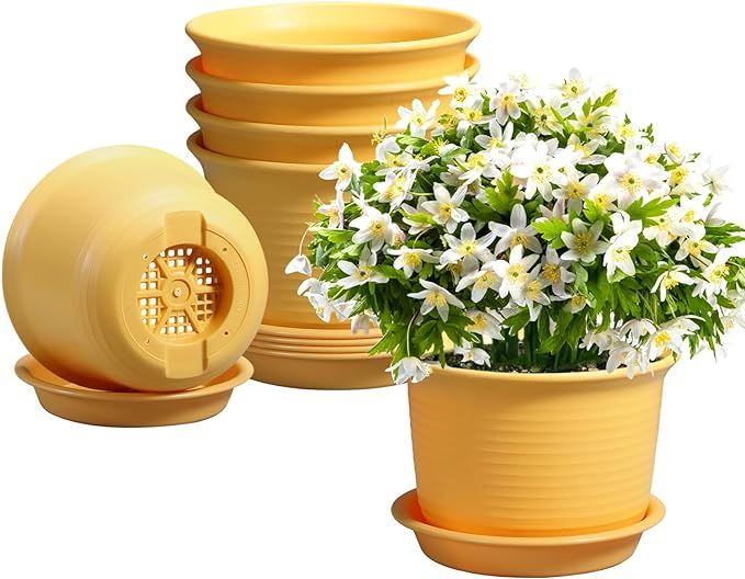 Etvski 6 Pack Flower Pots for Indoor Plants, Plant Pots with Drainage Hole and Tray Saucer, 7" Fl... | Amazon (US)