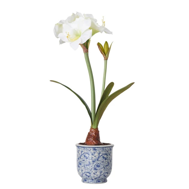 White Amaryllis Faux Arrangement in Chinoisierie Planter
                  
 {"averageRating":"0"... | Cailini Coastal
