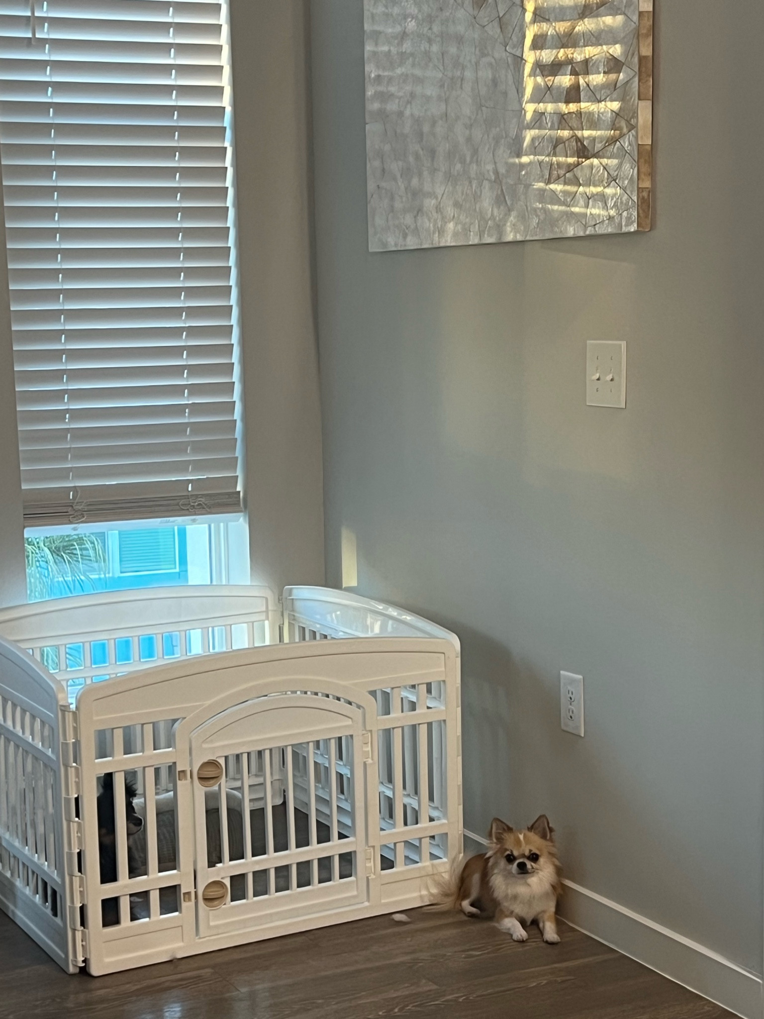 Pet cage 
Pet pen
White dog cafe 
Chihuahua 
Dog accessories 
Dog pen
White dog accessories 
White home 

#LTKhome #LTKfamily #LTKFind