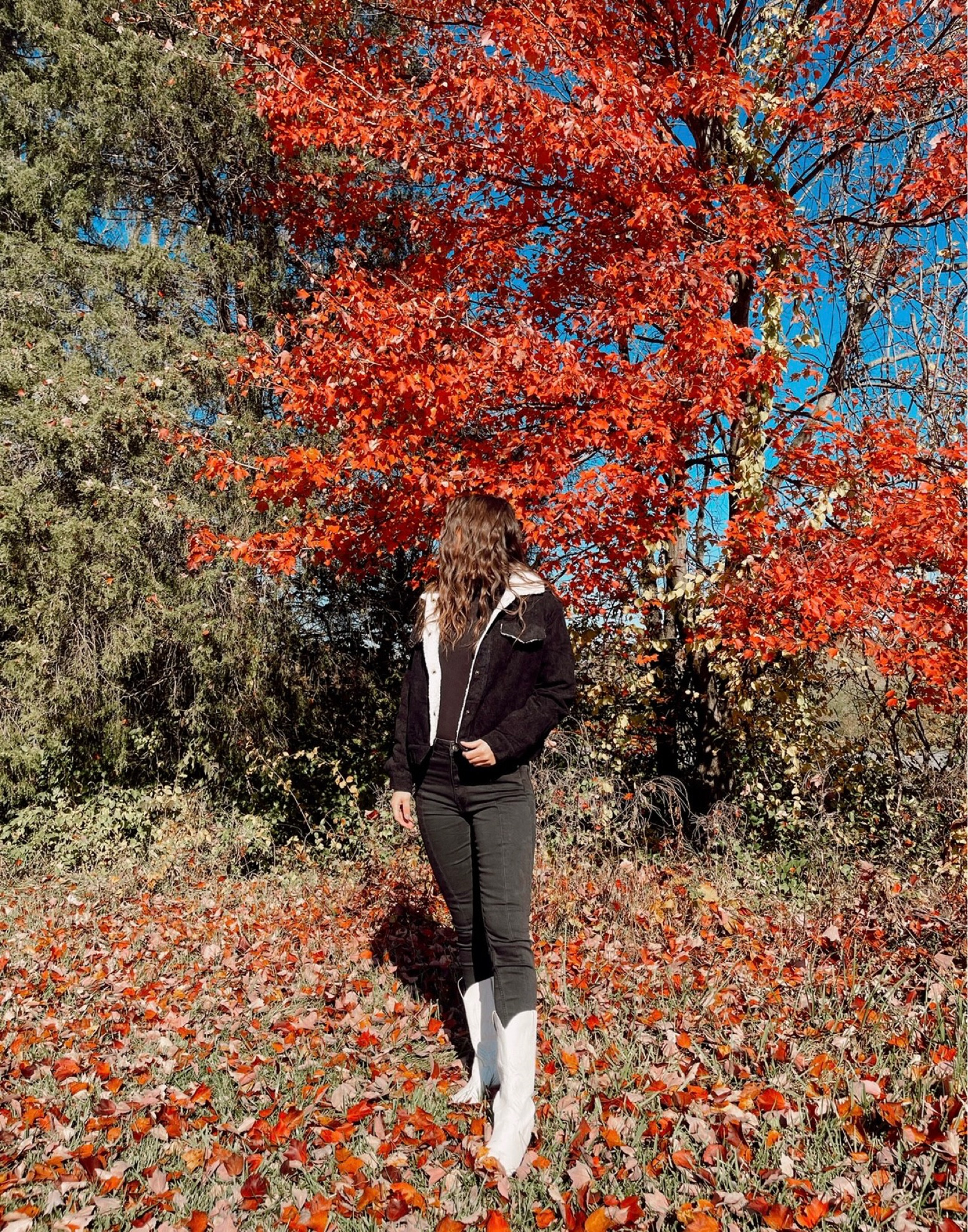 corduroy jacket, black jacket, bomber jacket, Sherpa jacket, ootd, outfit, seasonal, trendy, casual outfit, black coat, cozy outfits, Pinterest girl, Pinterest outfit 

#LTKFind #LTKunder50 #LTKSeasonal