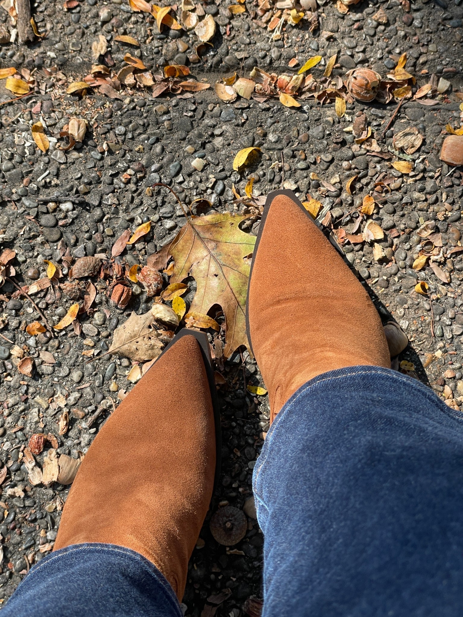 So glad I bought these Sam Edelman Mandy Western Boots in brown 🤎✨ They’re on SALE right now and truly the perfect fall + winter staple. If you’ve been wanting a high-quality western boot that’s comfy, versatile, and perfect for Nashville outfits, these are it!

#westernboots #samedelman #mandywesternboot #samedelmanboots #ltkfashion #ltkfinds #ltkshoecrush #nashvillefashion #nashvillestyle #fallfashion #falloutfits #winterstyle #outfitinspo #bootseason #ontrend

#LTKCyberWeek #LTKFindsUnder100 #LTKootd