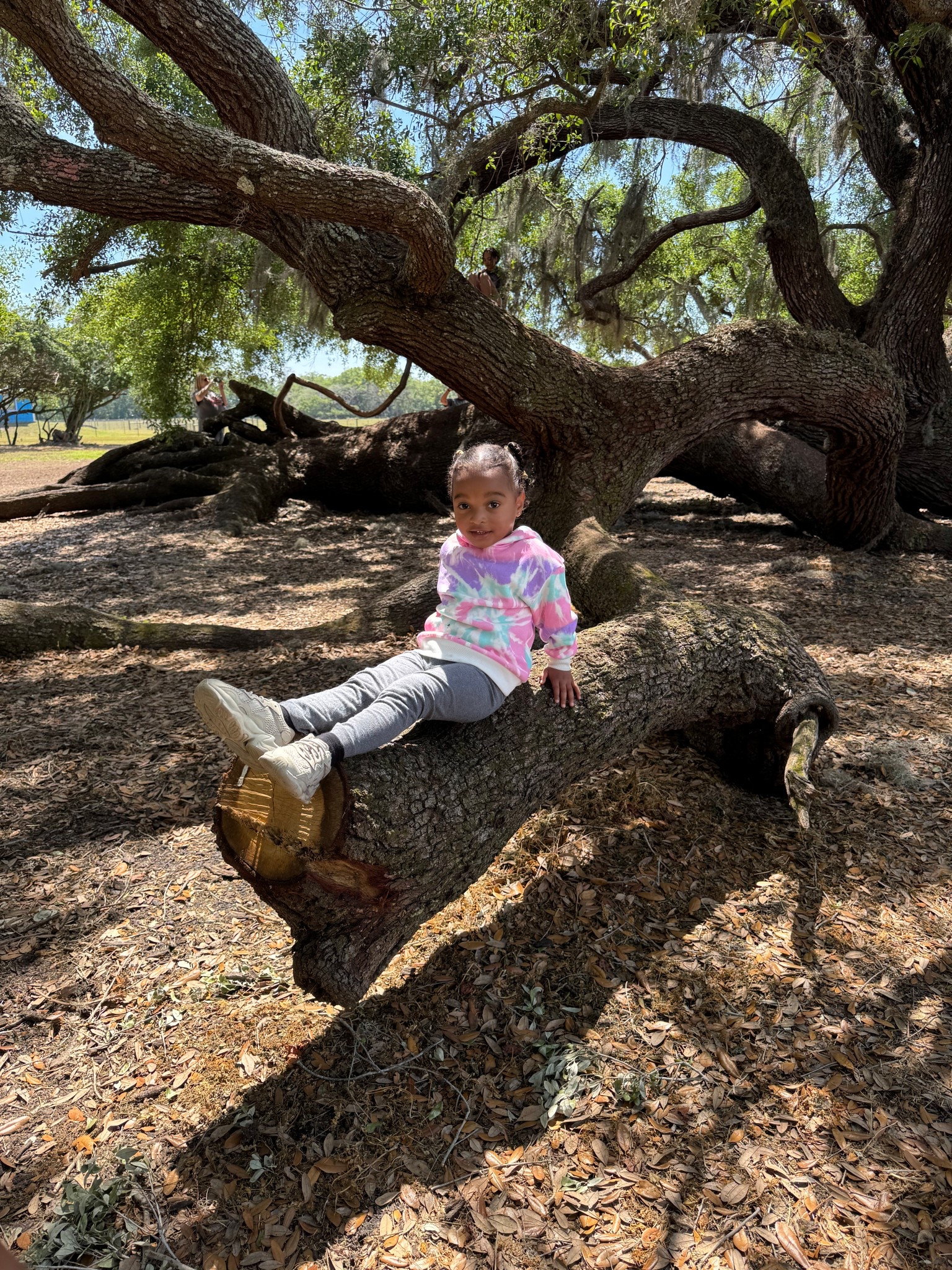 Jordyn felt like posing at the Petting Farm! :) 

 #LTKKids #LTKFamily