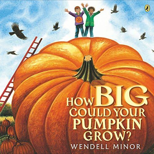 How Big Could Your Pumpkin Grow? | Amazon (US)