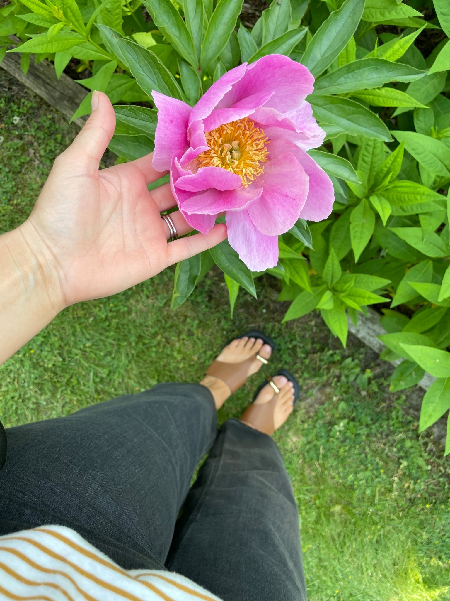 Cute sandals and pretty flowers 🌸  

#LTKsummer #LTKcanada #LTKsale