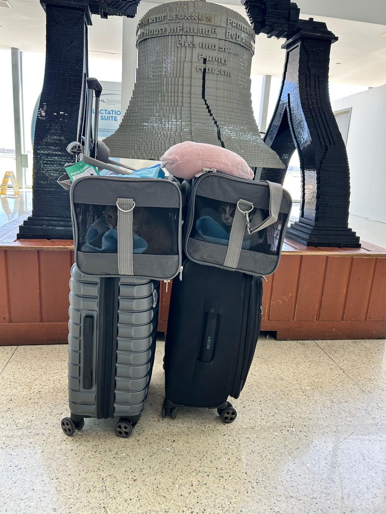 We got ours from chewy but you can get them from Amazon too! 

#LTKPets #LTKFindsUnder50 #LTKTravel