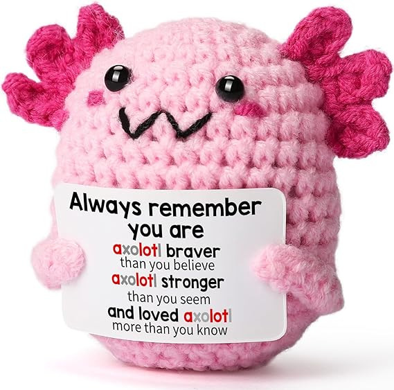 Valentines Day Gifts for College Teen Girls, Handmade Crochet Axolotl Tween Girl Gift Trendy Stuf... | Amazon (US)