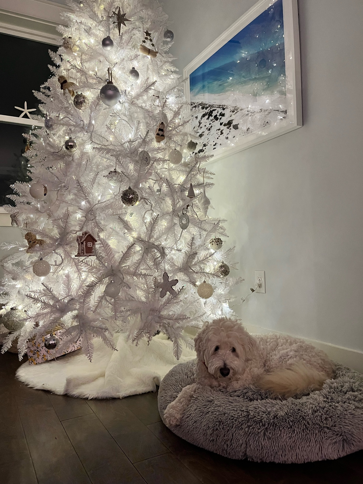 #LTKHome #LTKSeasonal #LTKHoliday