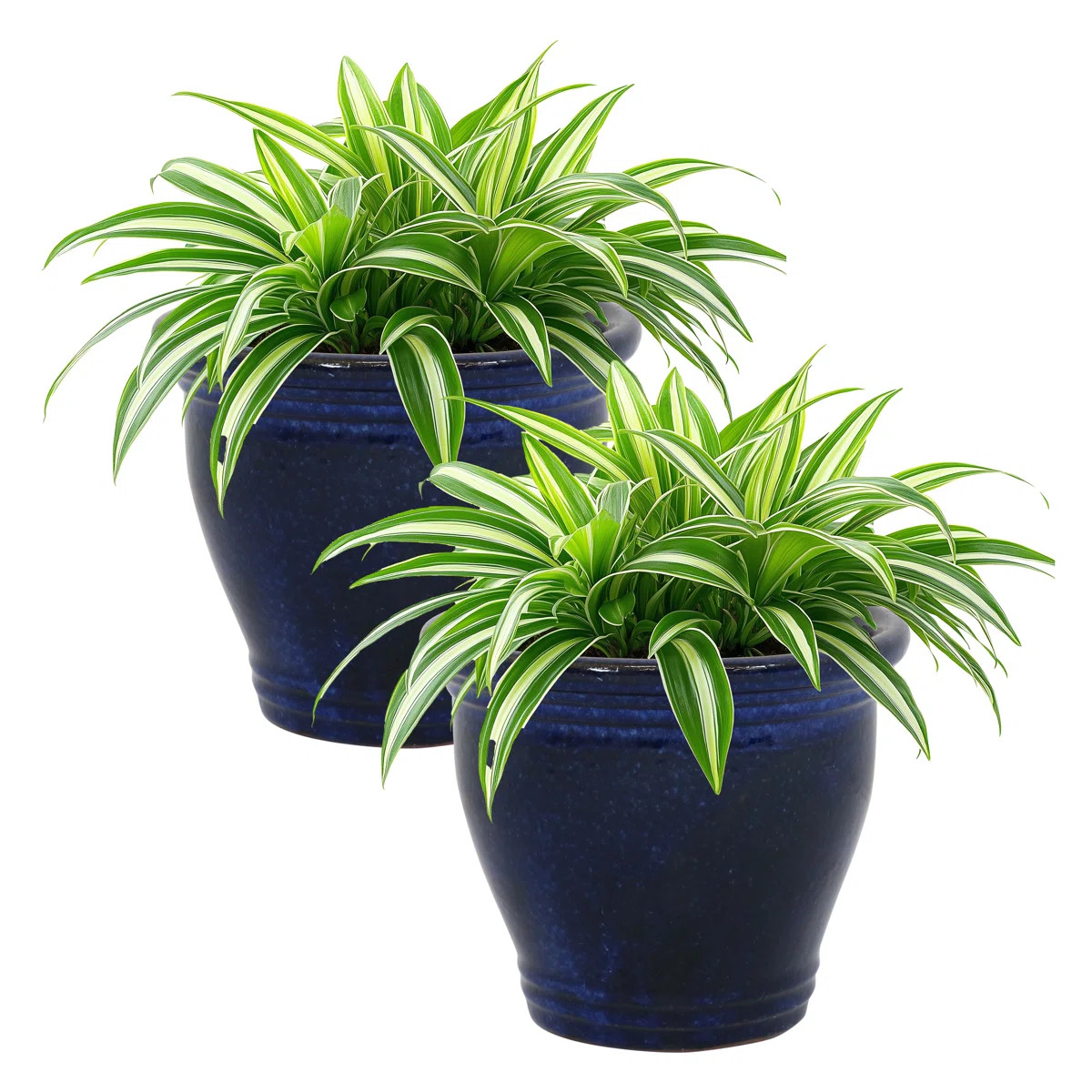 Ailynn Round Imperial Ceramic Outdoor Planter (Set of 2) | Wayfair North America