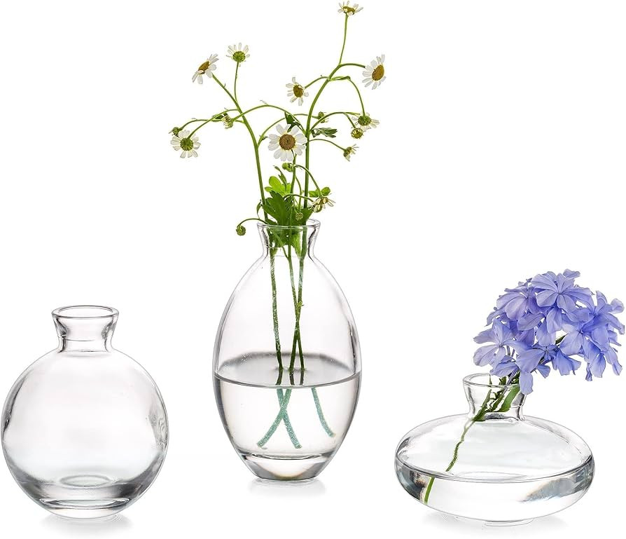 Glasseam Clear Glass Bud Vase, 3Pcs/Set Modern Decorative Small Mini Flowers Vases Short Minimali... | Amazon (US)