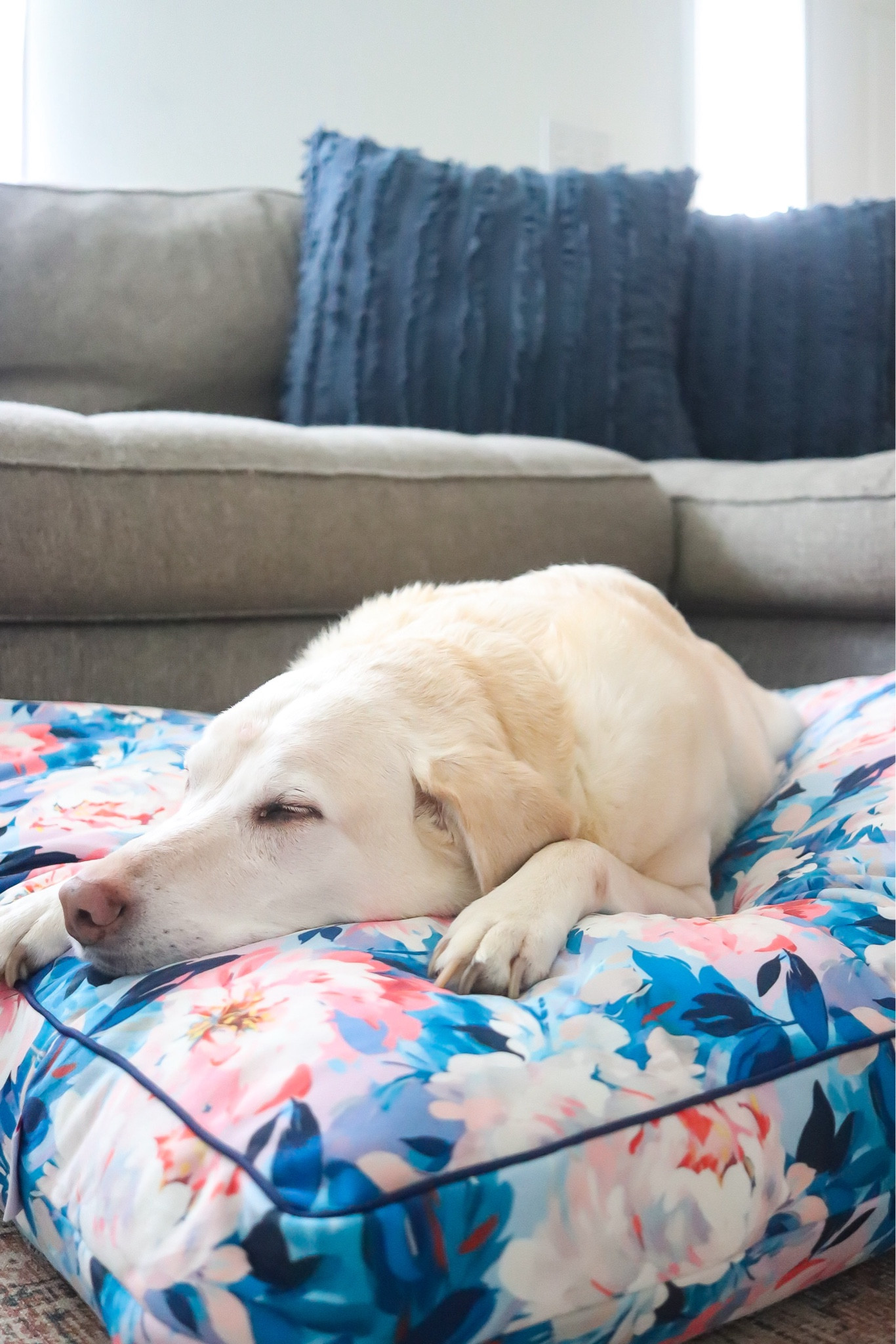 Custom Dog Bed from @shop.ten25 - dozens of prints and florals to choose from and 4 size options

#ad #ShopTen25 #studioten25 #dogbeds / customized dog bed / puppy bed / dog gift / dog owner / pet bed / floral print / peony print 

#LTKFamily #LTKHome #LTKStyleTip