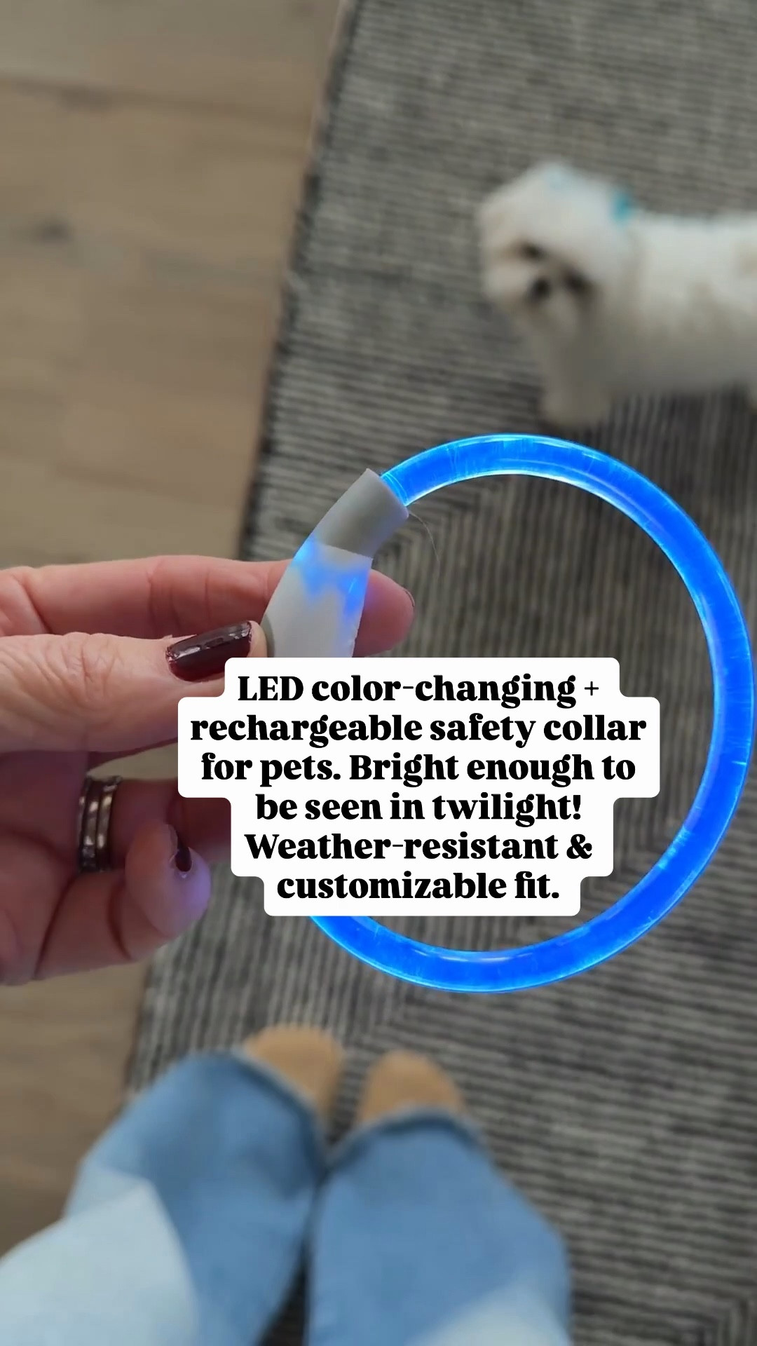 LED PET COLLAR 