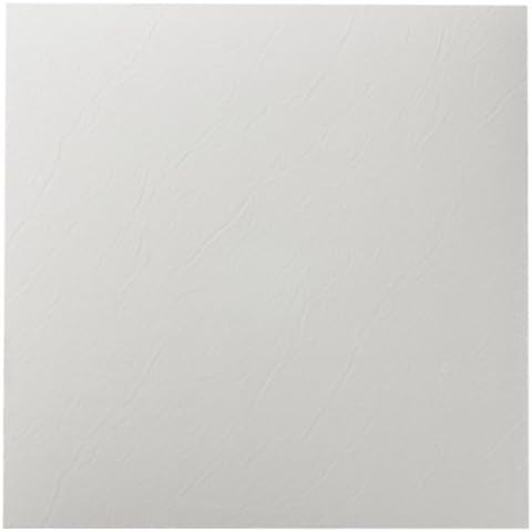 Achim Home Furnishings FTVSO10220 Nexus 12-Inch Vinyl Tile, Solid White, 20-Pack | Amazon (US)