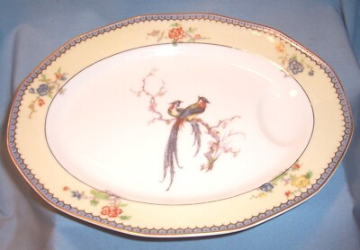 Haviland Limoges CHAMBORD 11" Oval MEAT PLATTER Serving Dish Tray Paradise Eden | eBay | eBay US